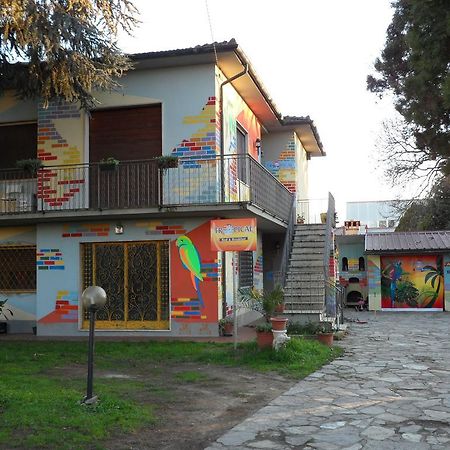 لوكا Tropical Bed&Breakfast المظهر الخارجي الصورة